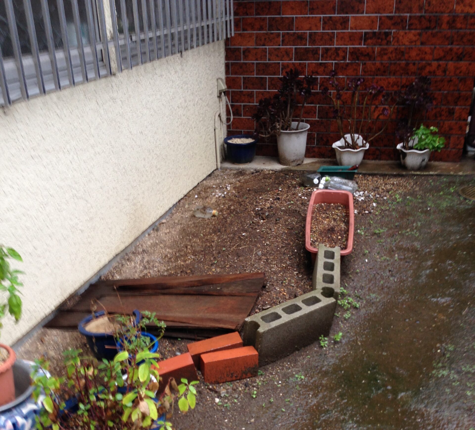before画像